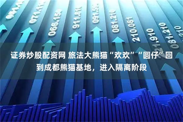 证券炒股配资网 旅法大熊猫“欢欢”“圆仔”回到成都熊猫基地，进入隔离阶段